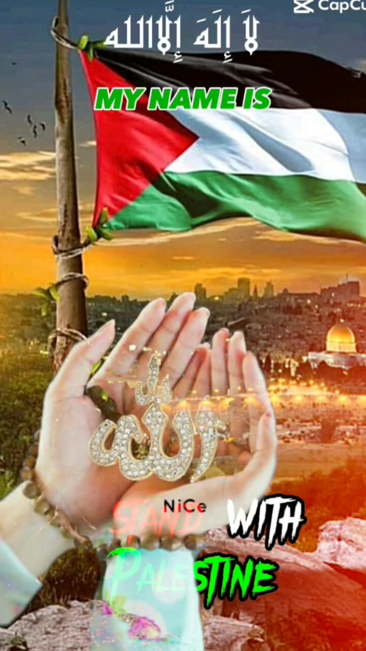 @sherkhansherkhan386
