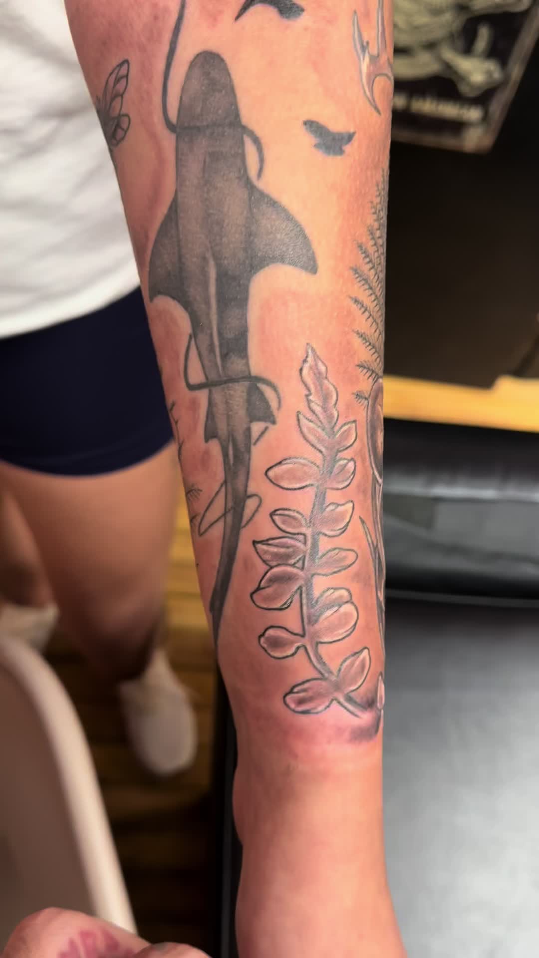 @JCalcanes.tattoo