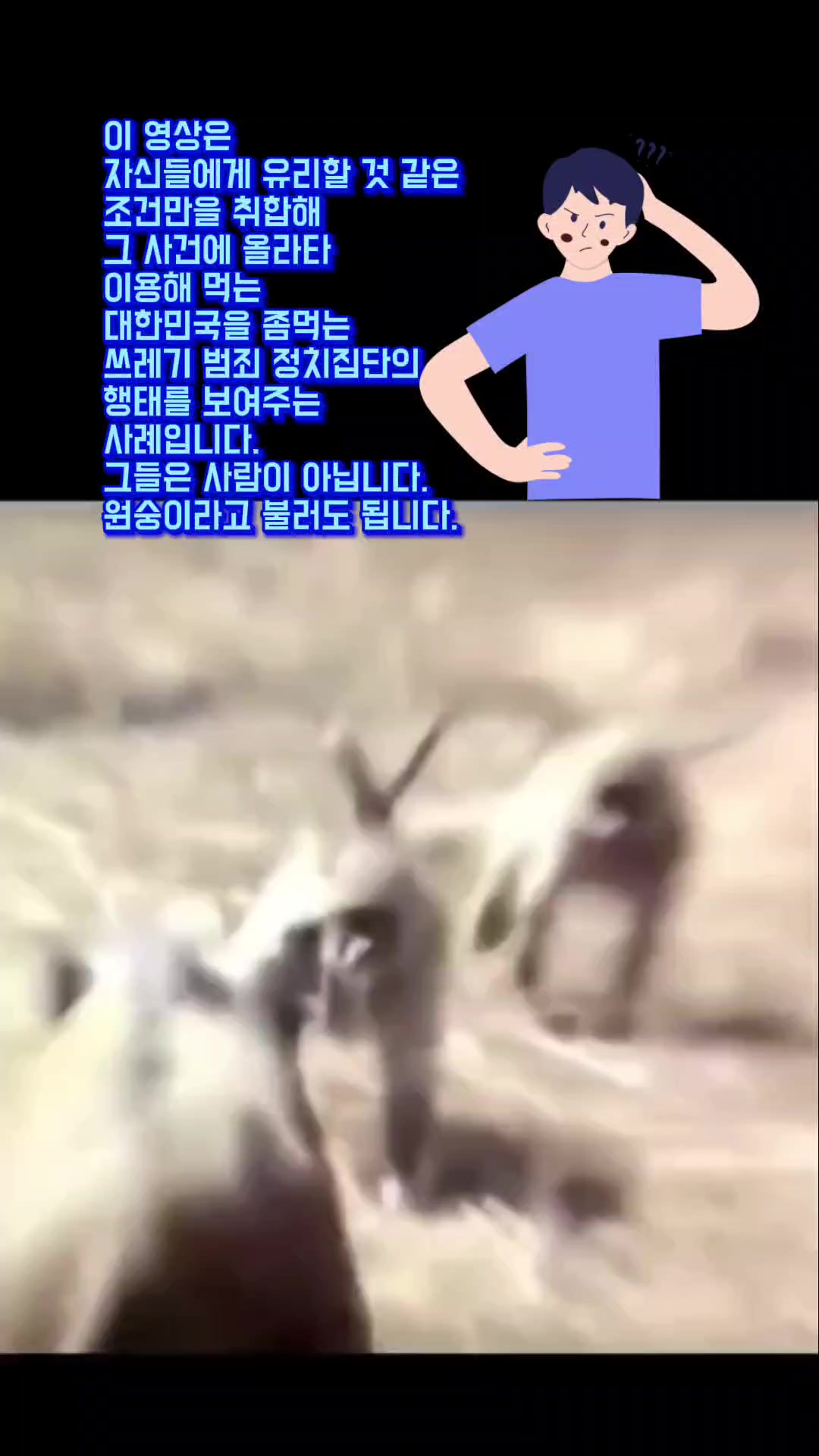 @자유시선Jayu - Sisun