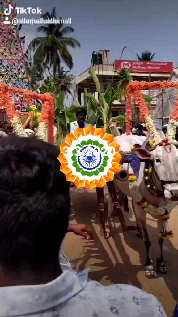 @Allumallu Allumallu