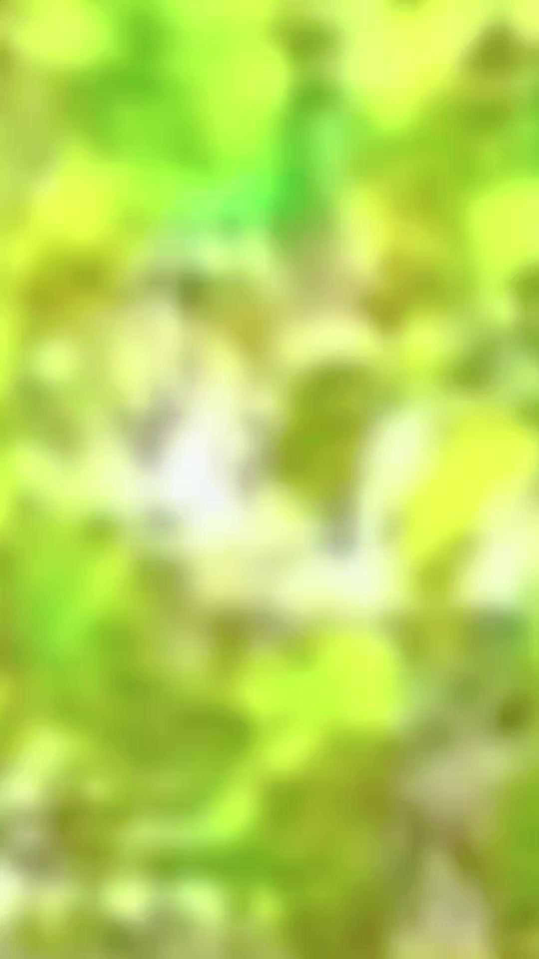 @A Ki NO