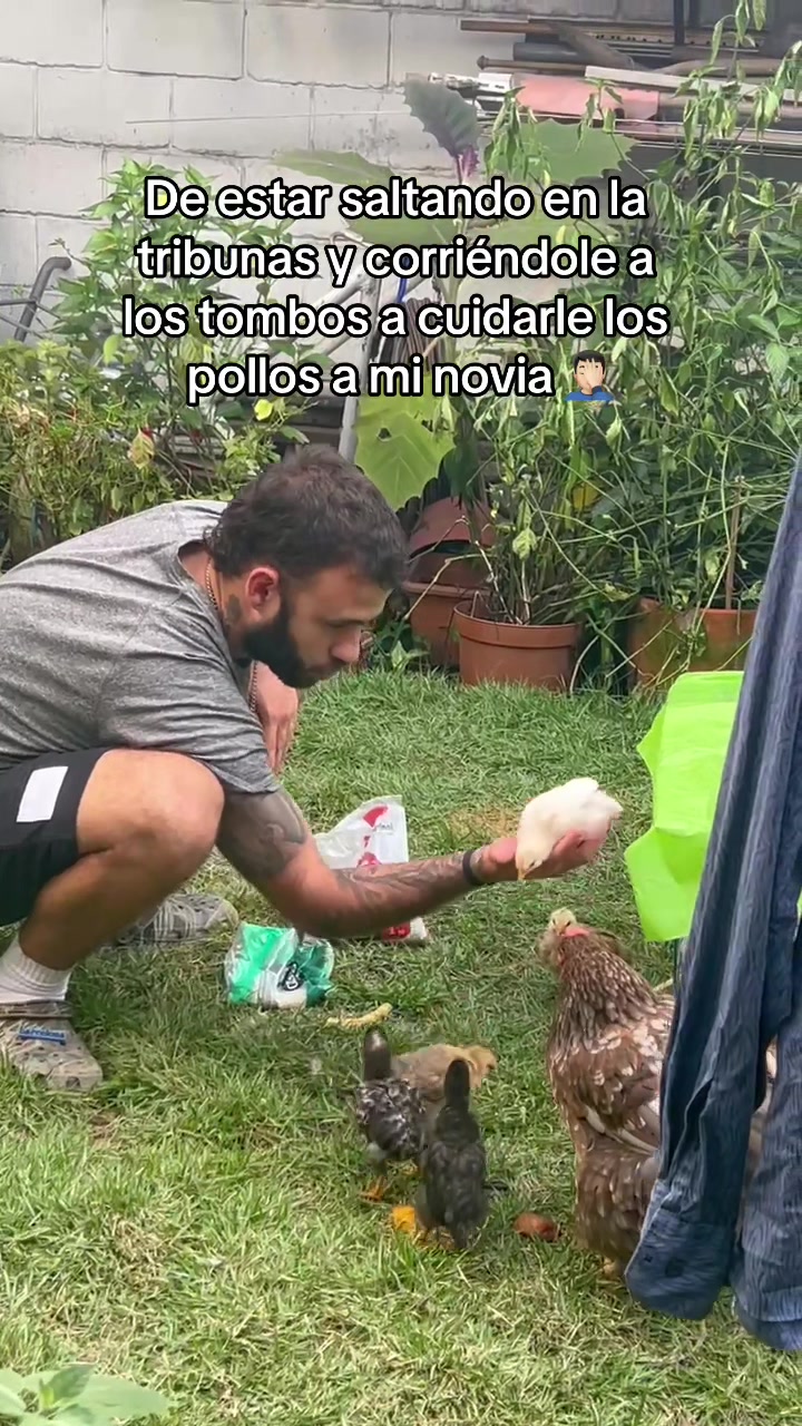 @SIMON ARANGO