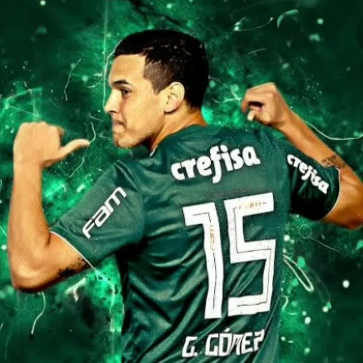 @Palmeirante&trade;