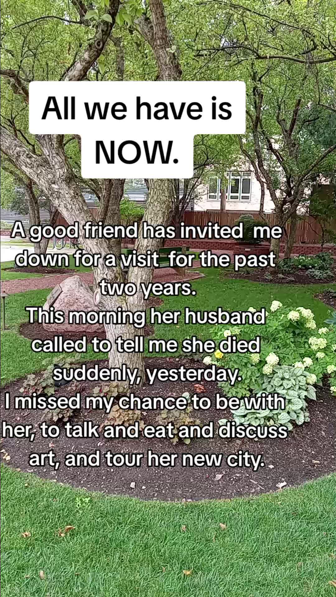 @Stella.Wilson