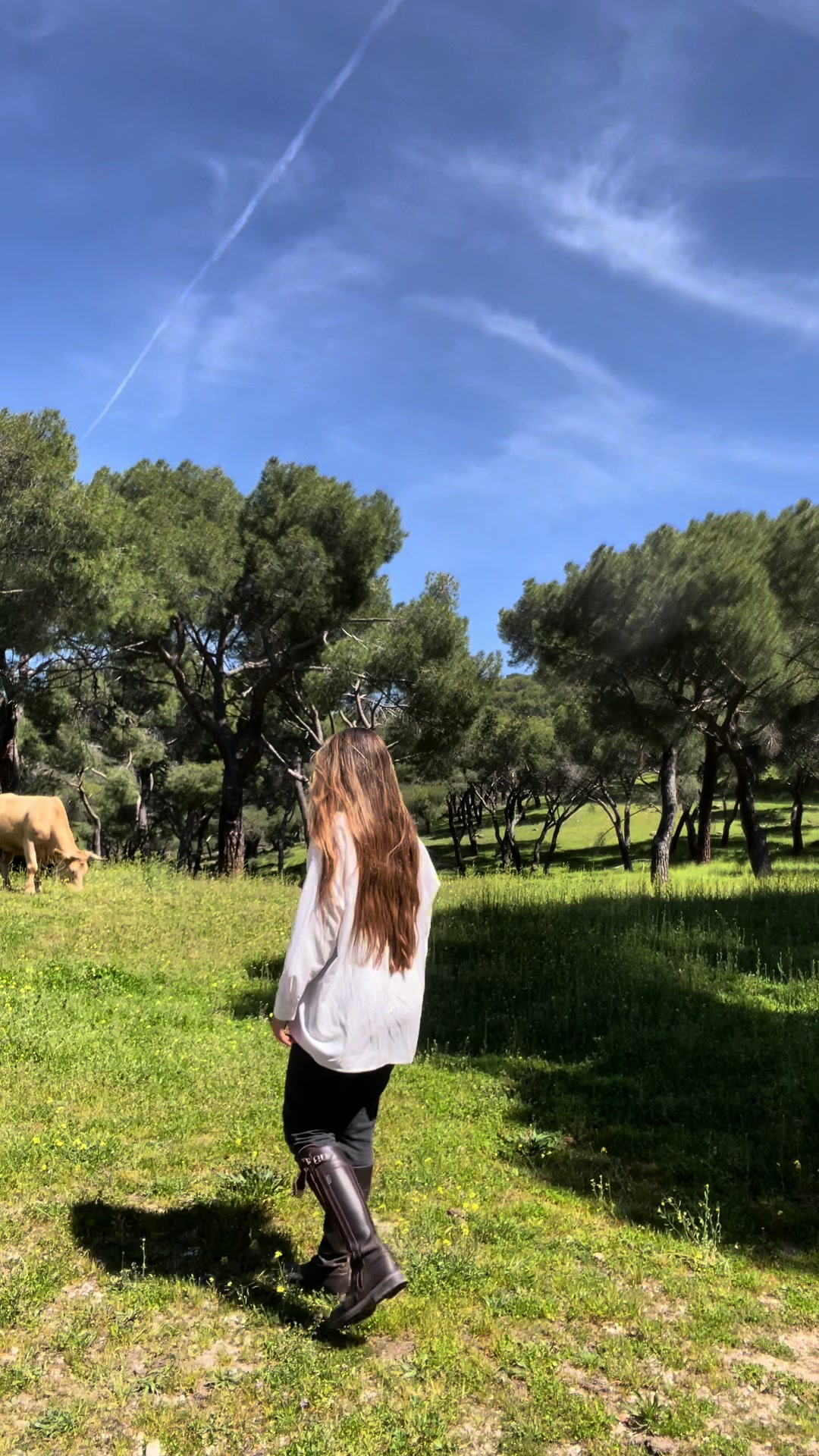 @Paula Quintas Parras