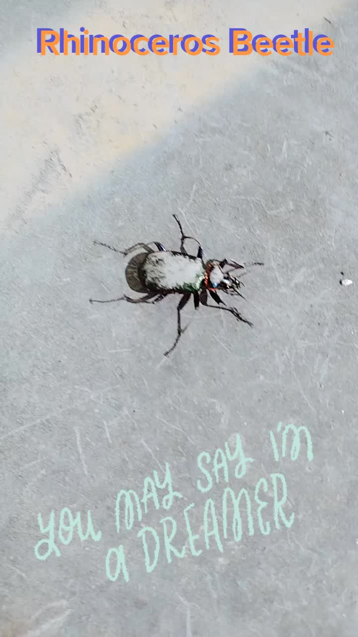 @$LitterPatrol