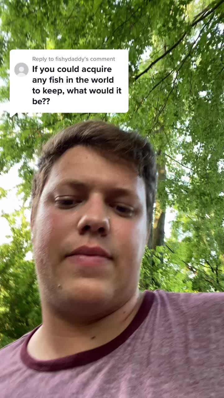 @Tyler Hull