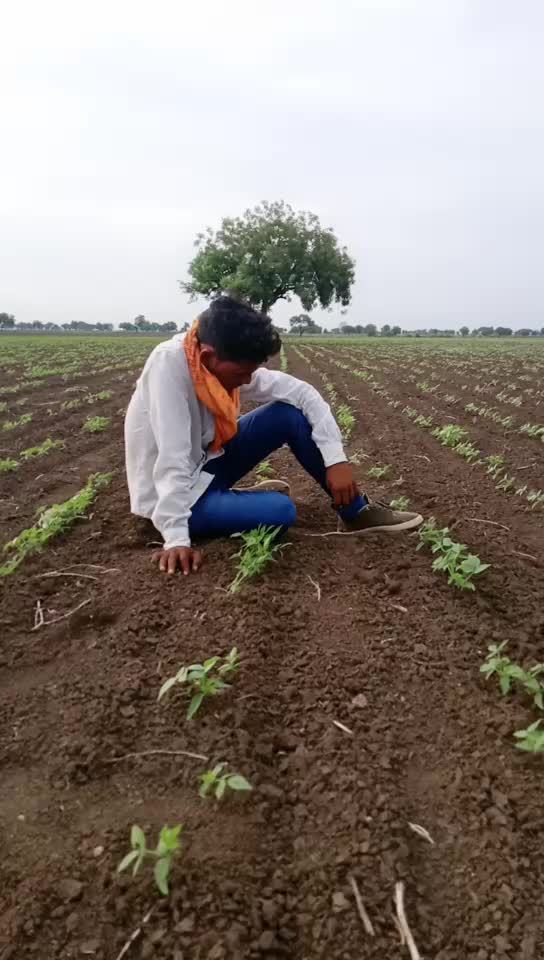 @नंदू पाटील झाडेगांव