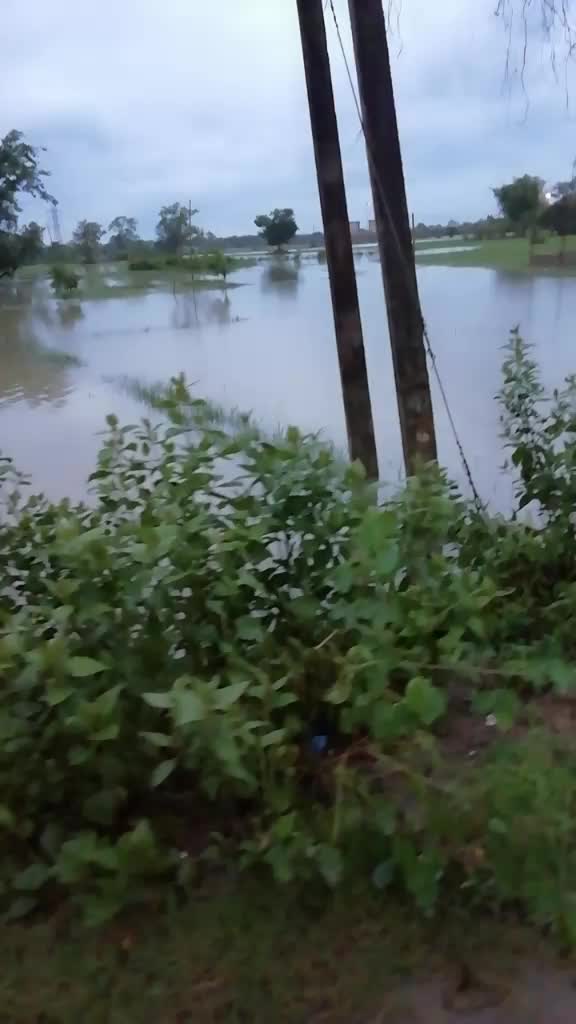 @Pubali Deka