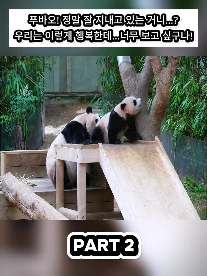 @Fubao Cute