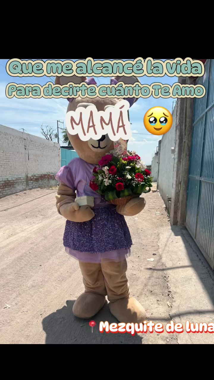 @Cachetitos 🫶