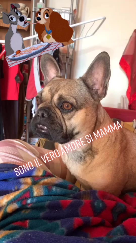 @Valentina Pigliacell
