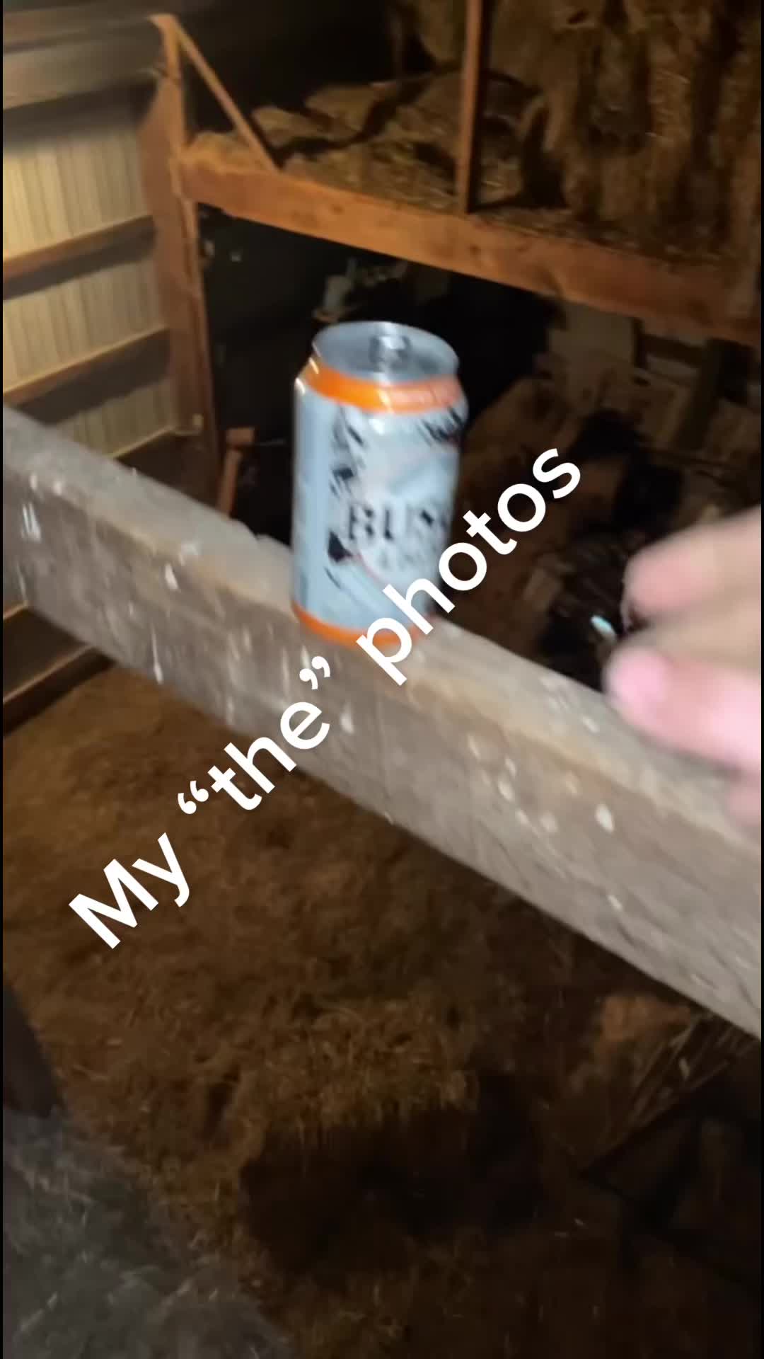 @Dane Drnek