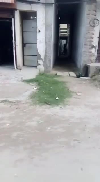 @Amandeep kaur