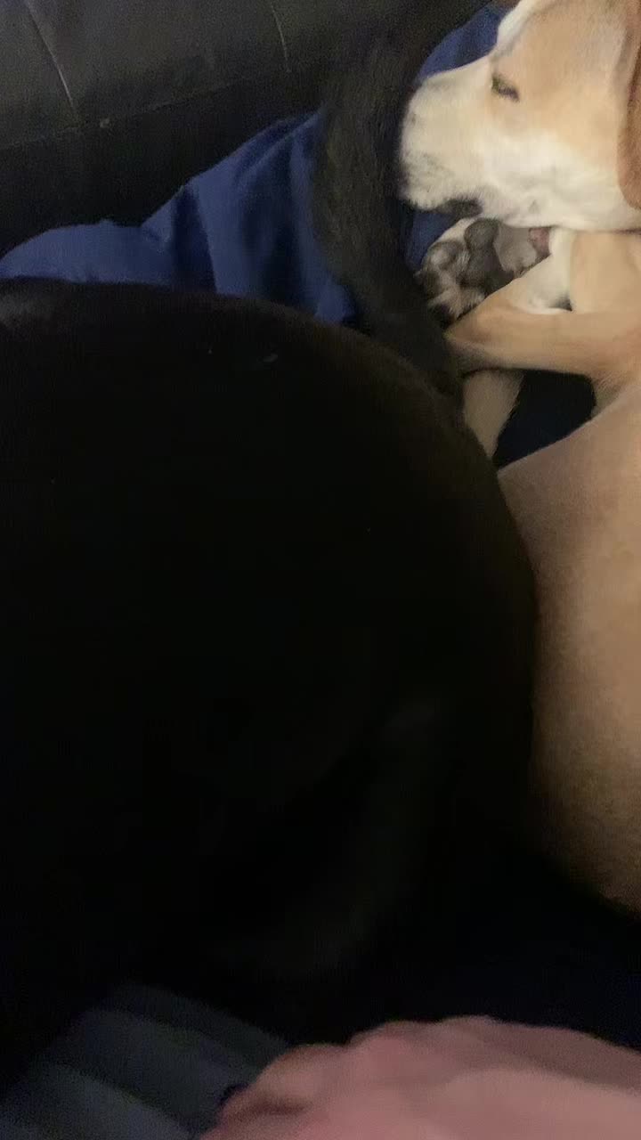 @IzzySparkles