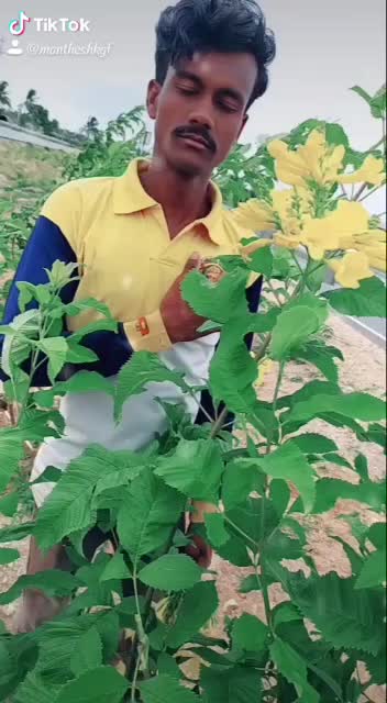 @Ambrish A