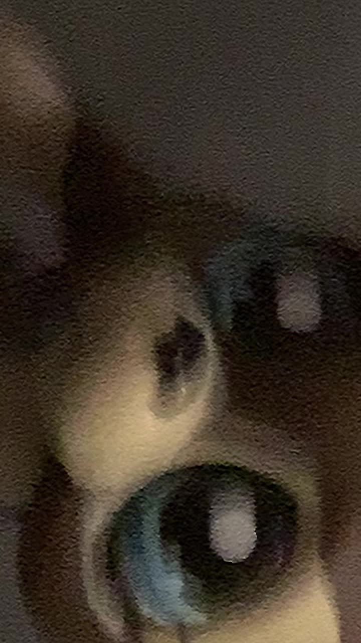 @M