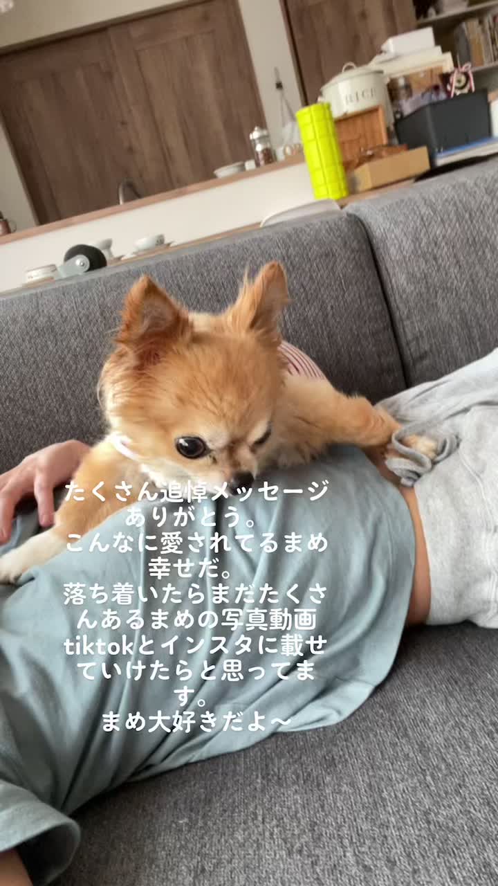 @さまむ〜