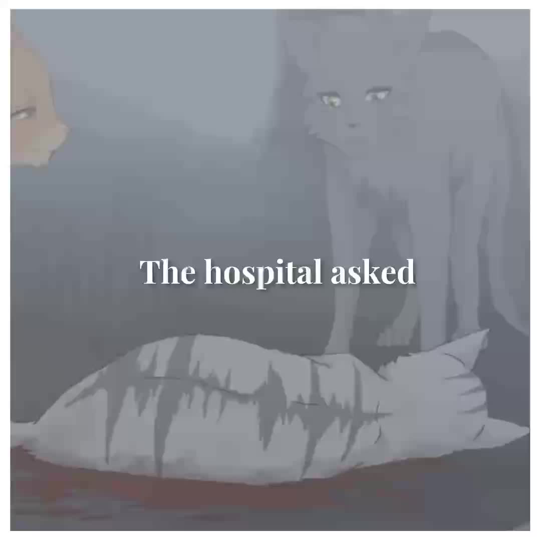 @𝐖𝐨𝐥𝐤𝐞𝐧𝐬𝐭𝐞𝐫𝐧