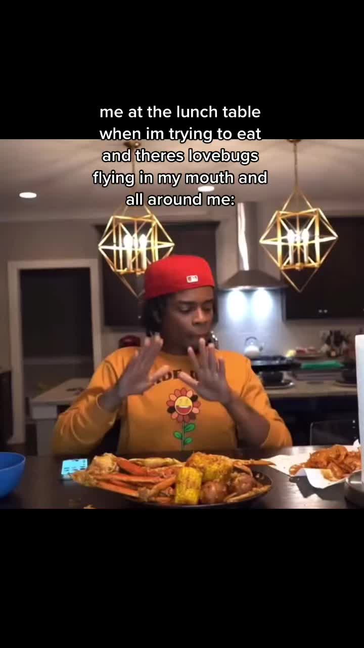 @🙀