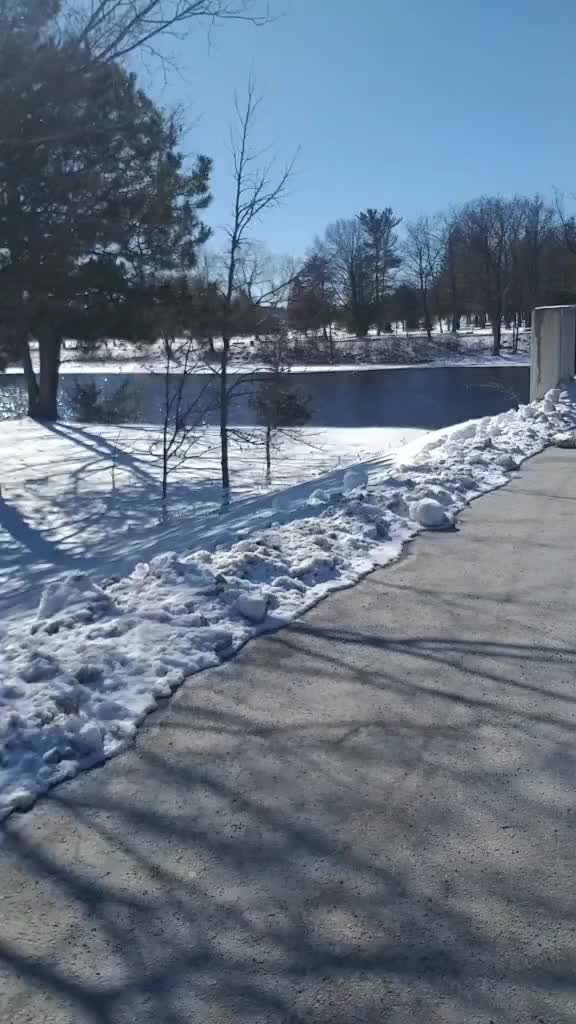 @g._view