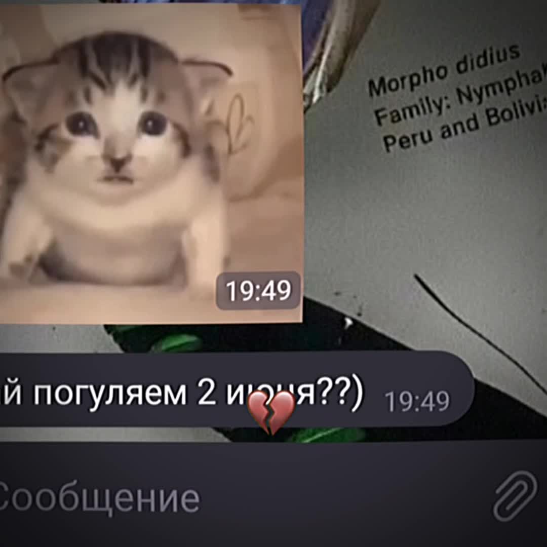 @🌸