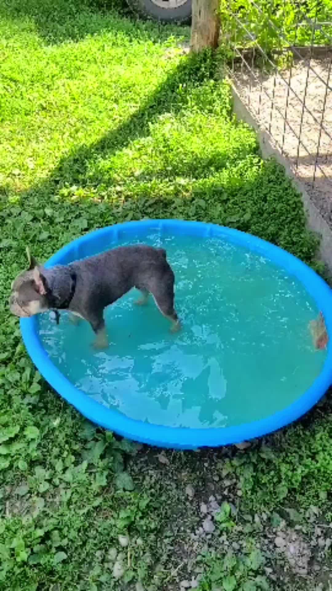 @AdventuresofMumford