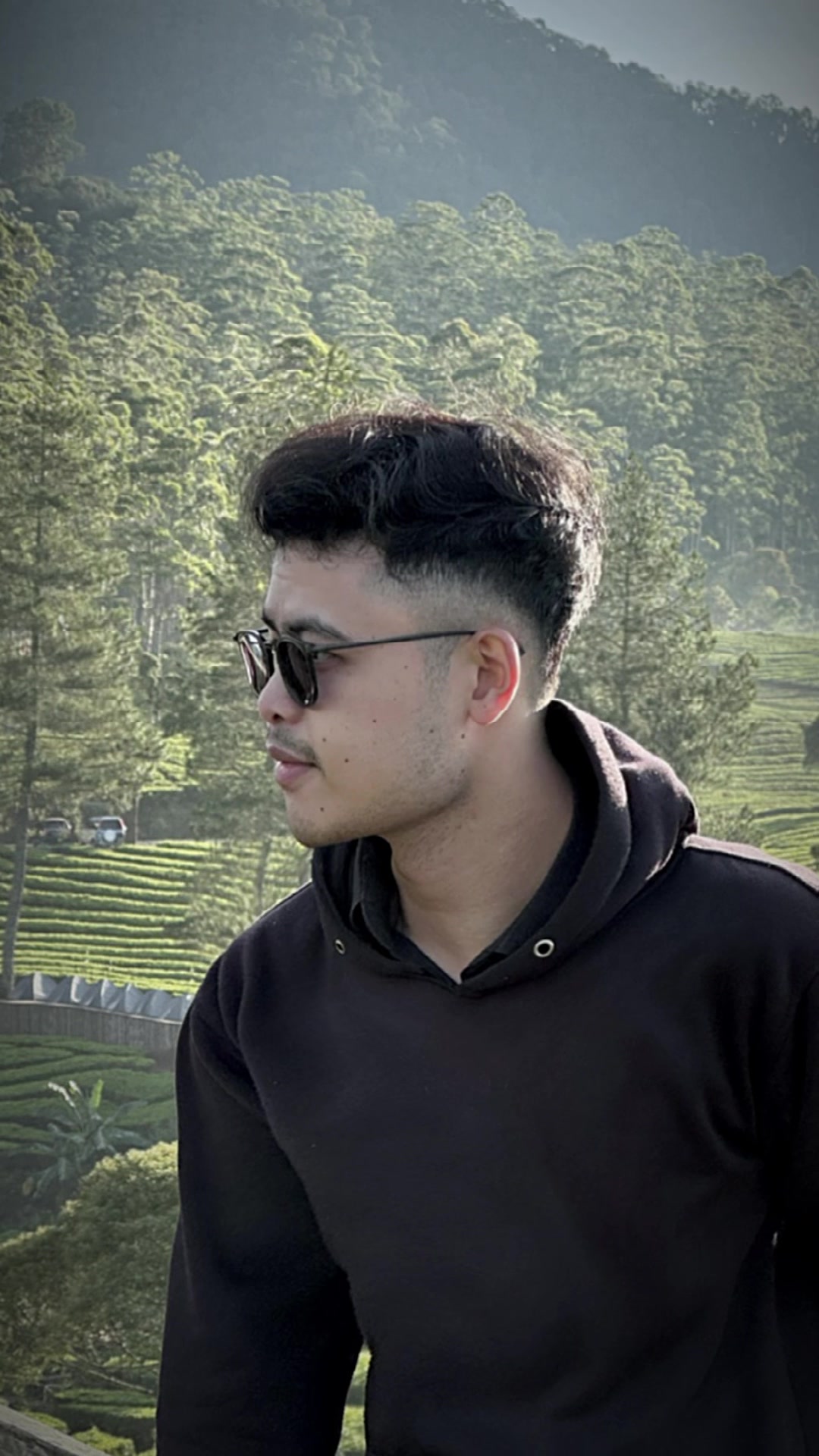 @INDRA PLV