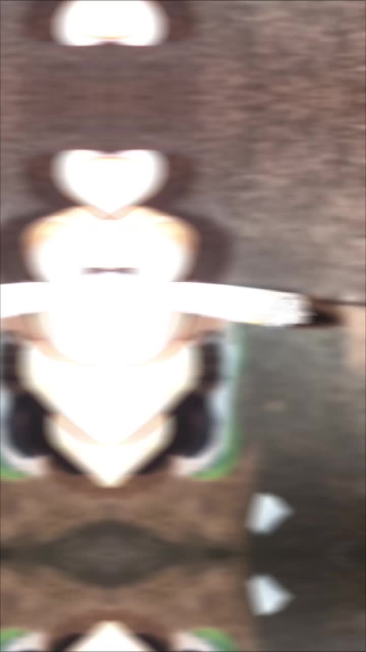 @Crīmē'Zērr Lē Văīllant