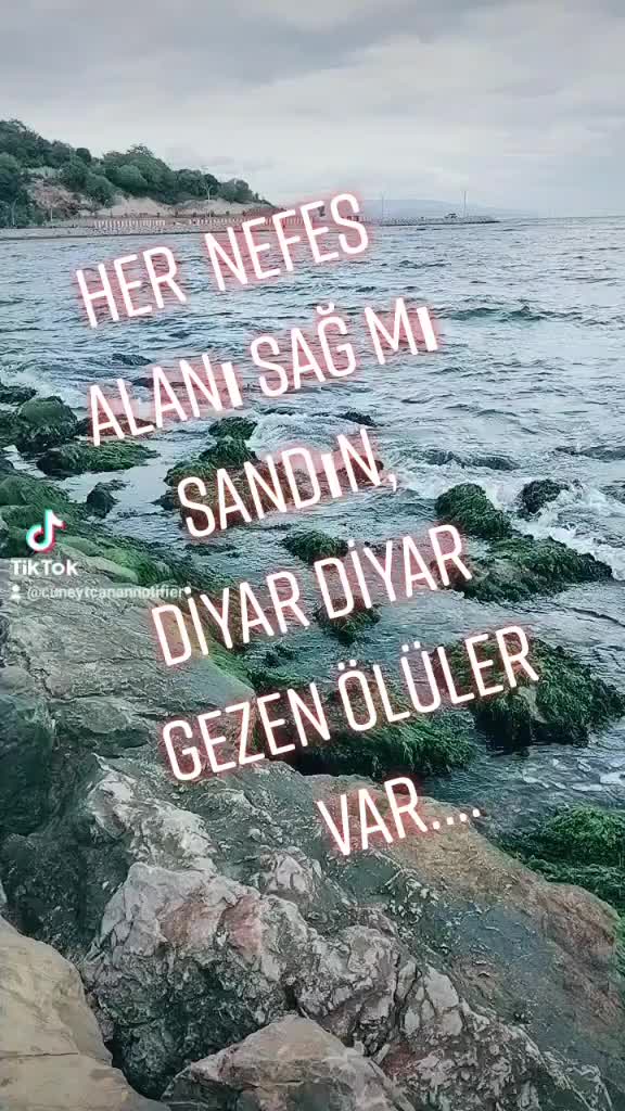 @Canan Bildirici💯