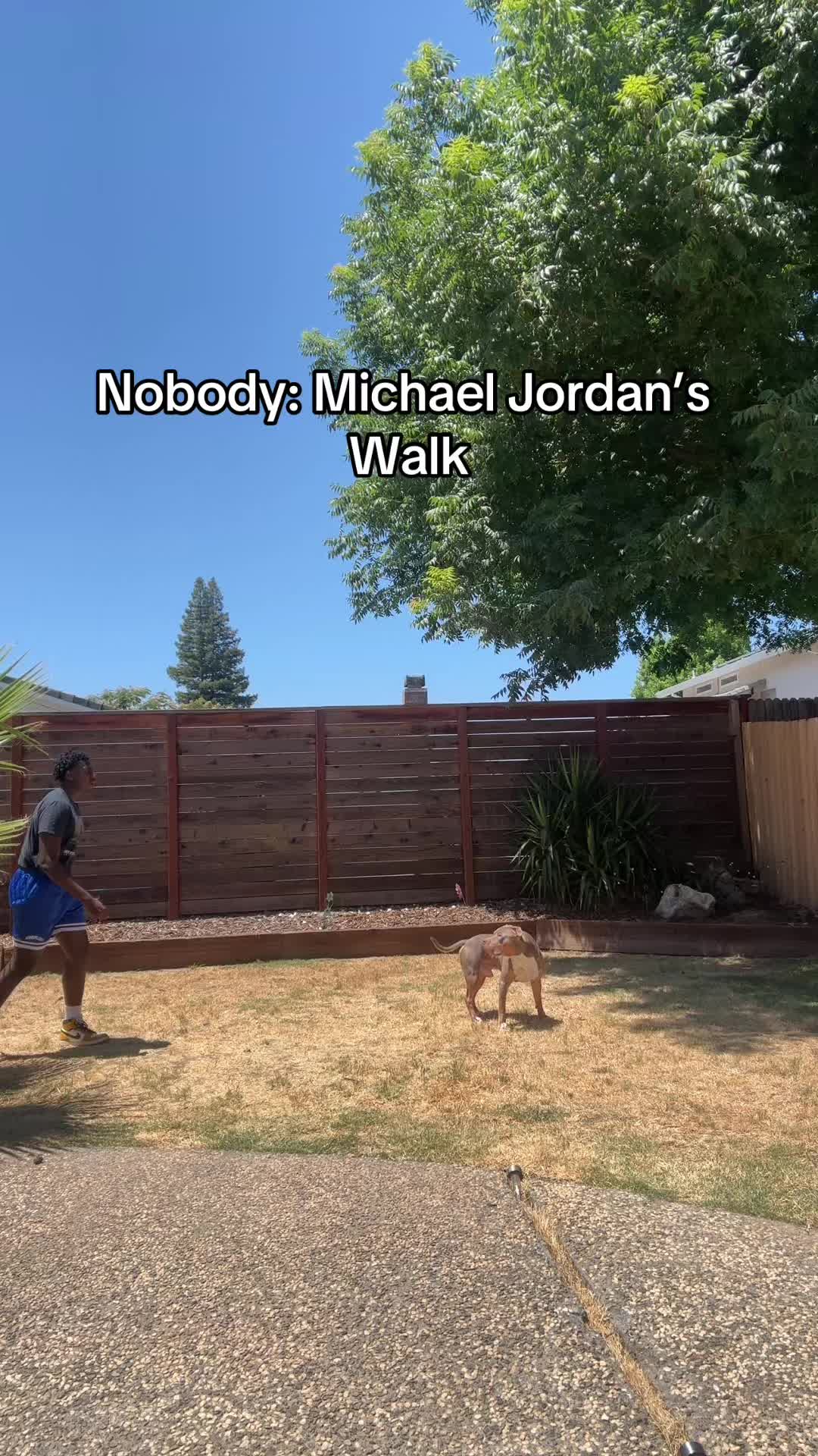 @Morgangotgame