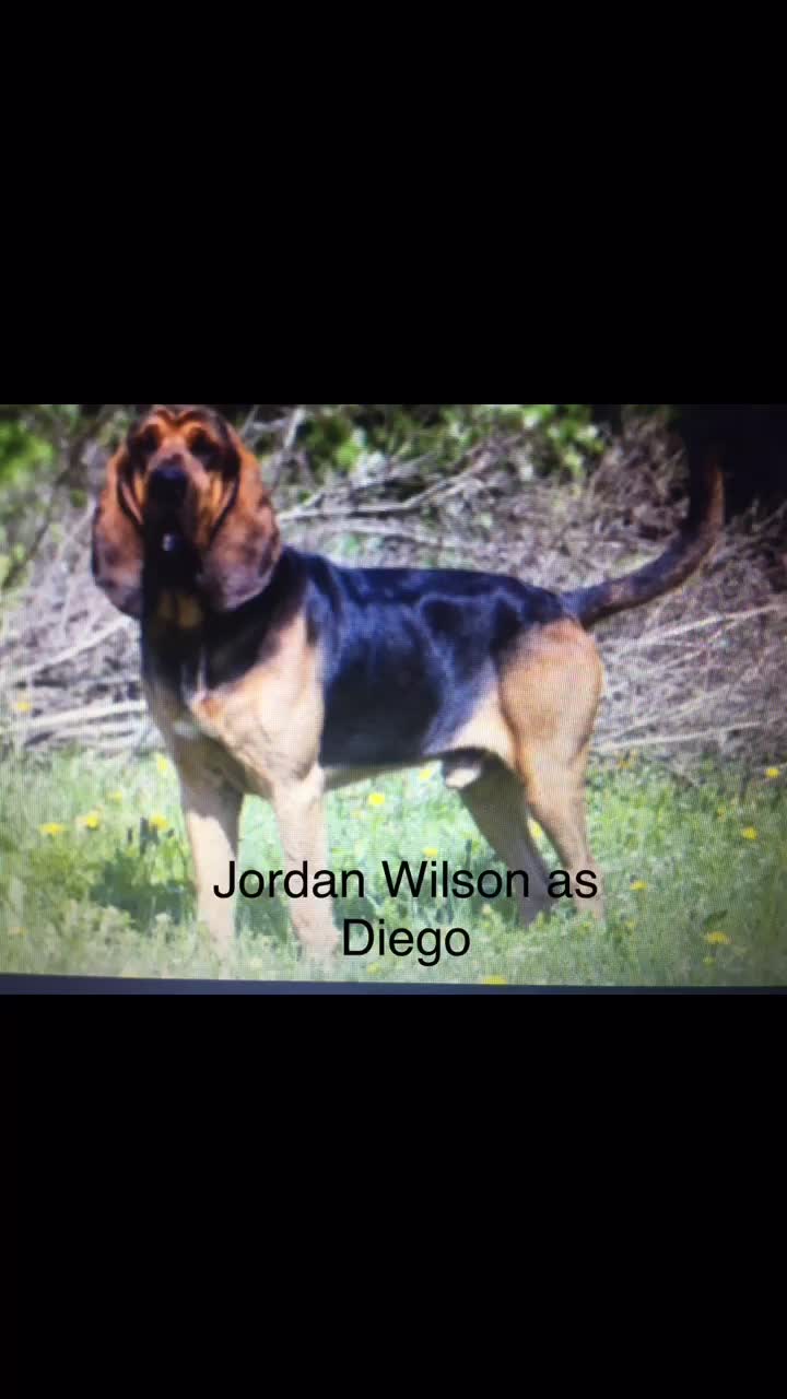 @Jordan Wilson247
