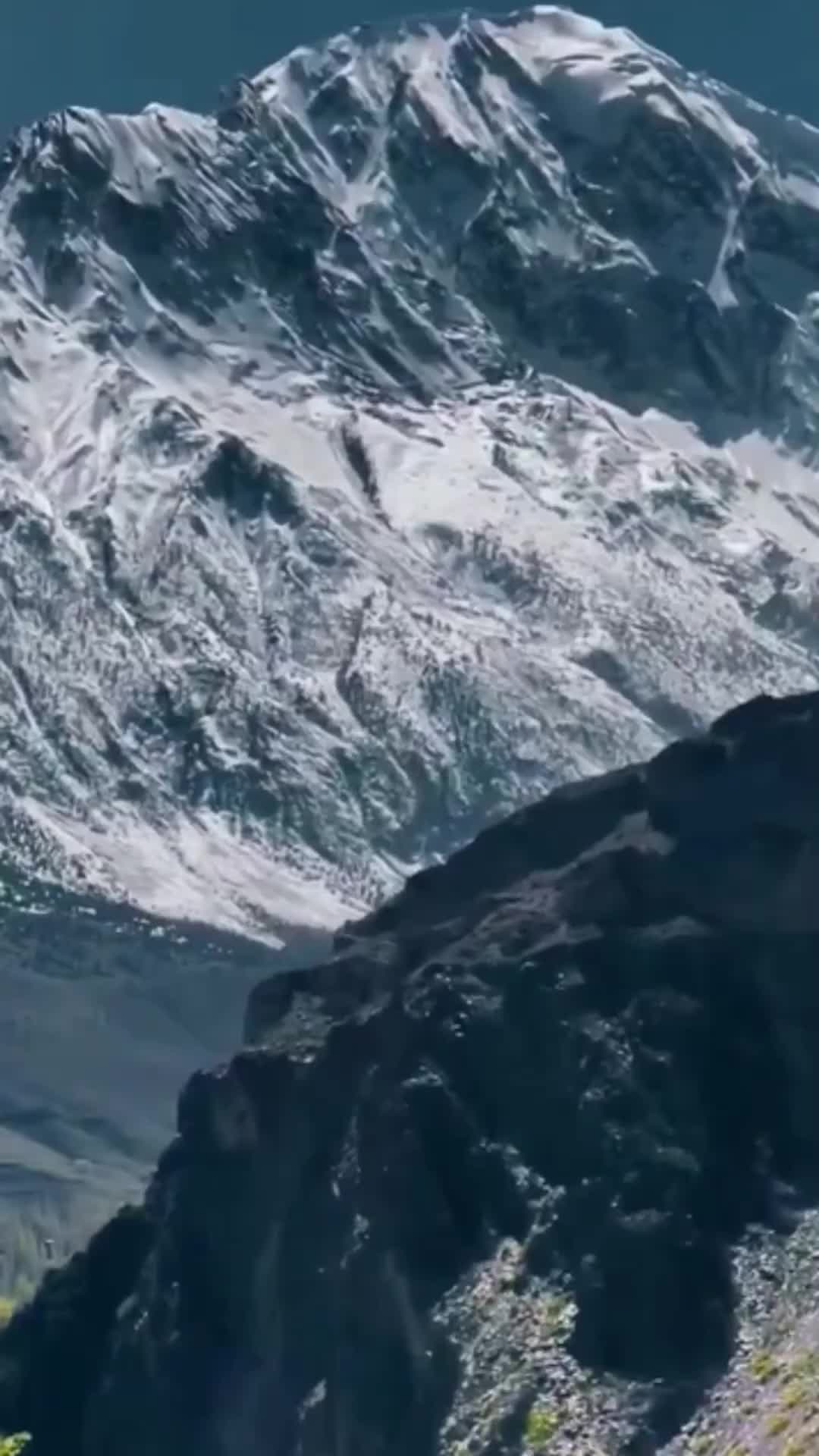 @Mark.bolo