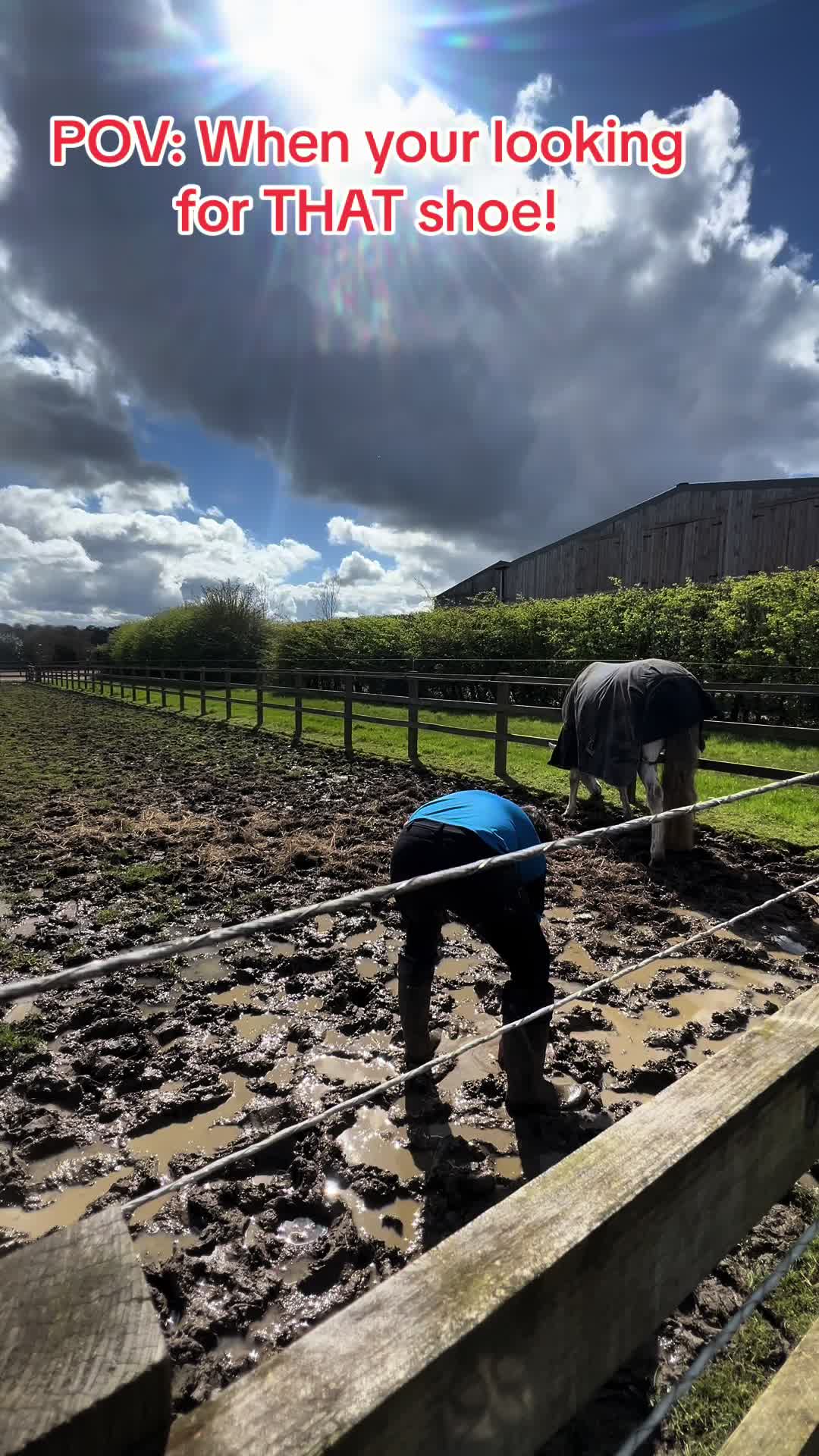 @A_G_Dressage