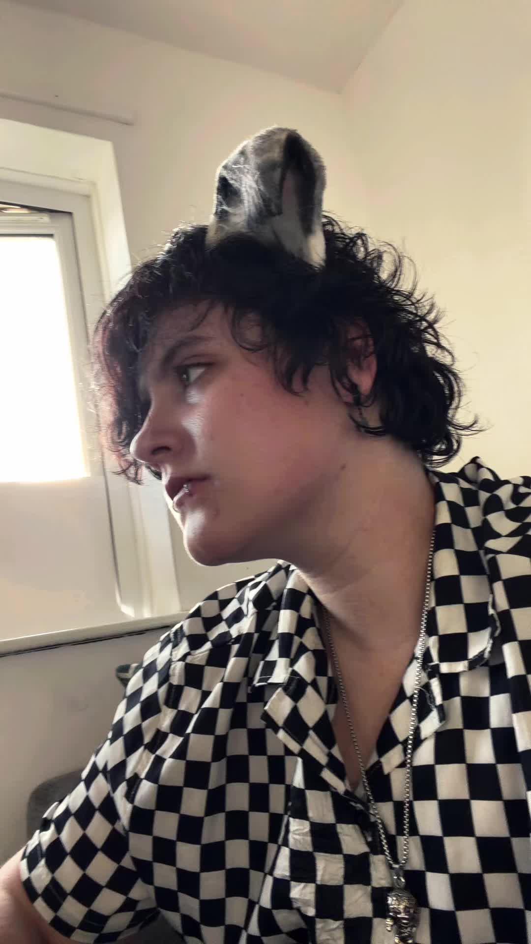 @fin.the.ghostiiie