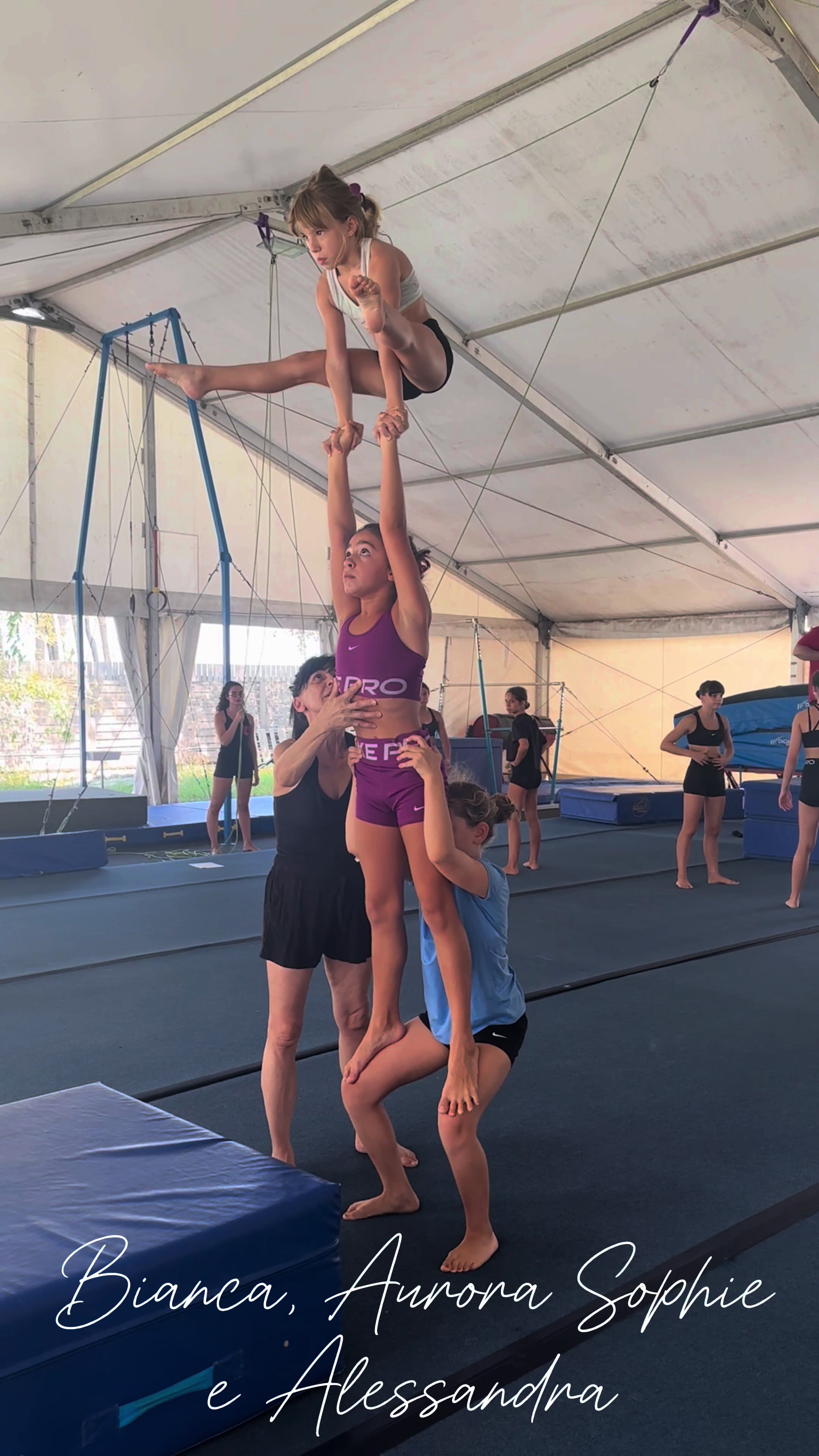 @asd acrotigers🧡🖤