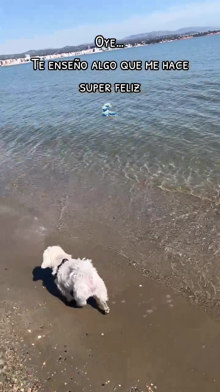 @Darla 🧡🐶🧡