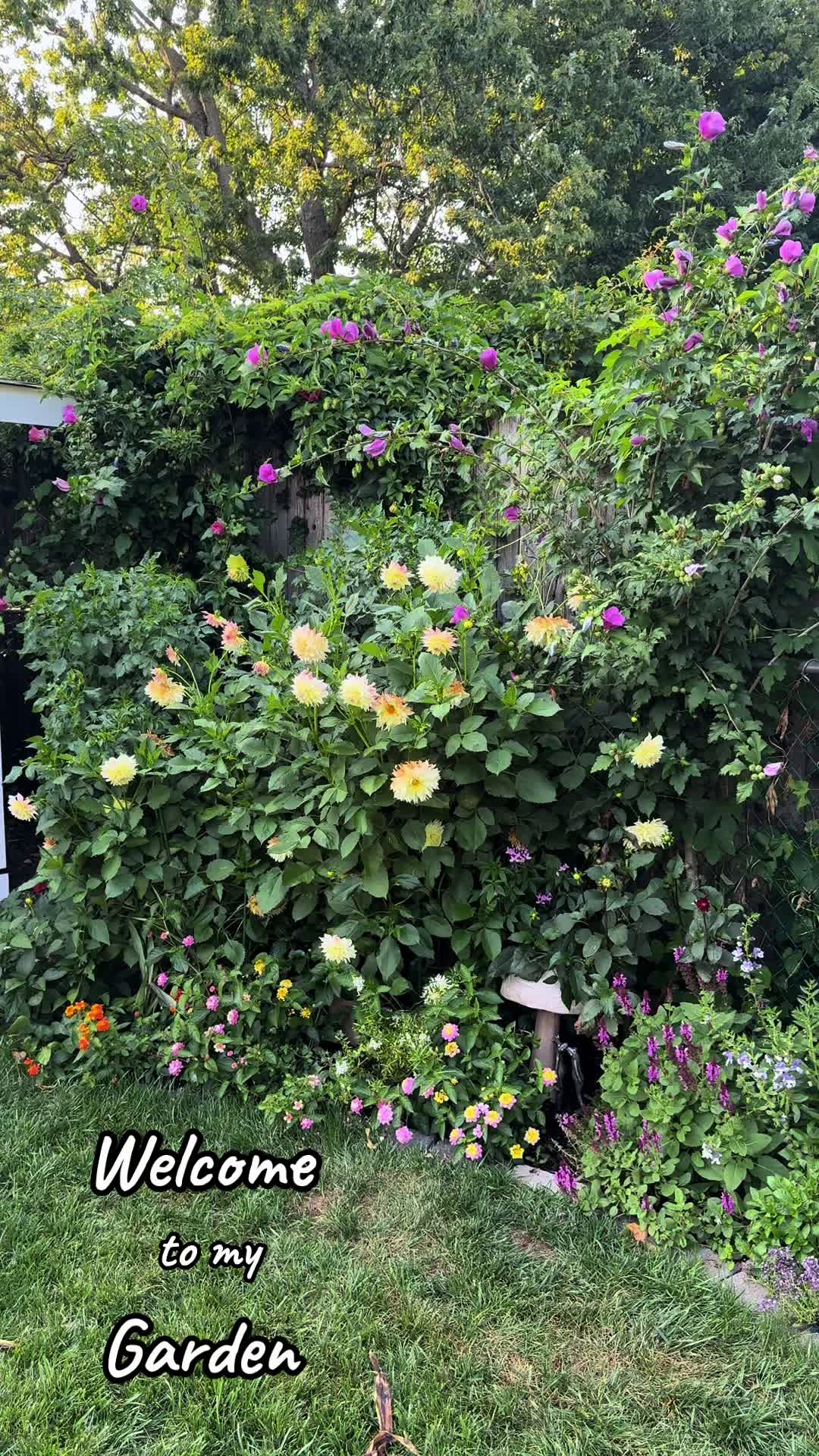 @plantsbyfern