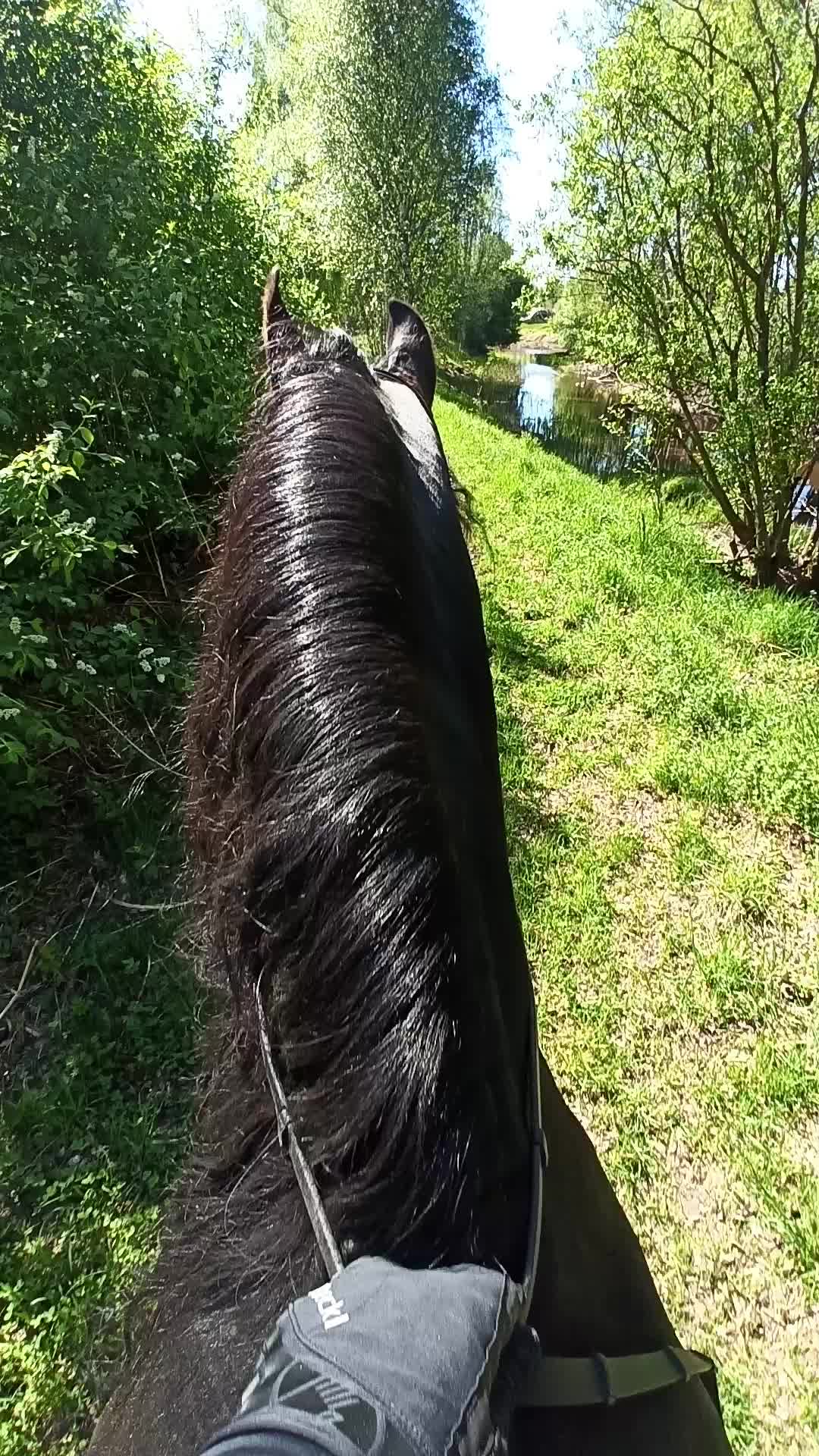 @ErnstVanDeGelderdijk