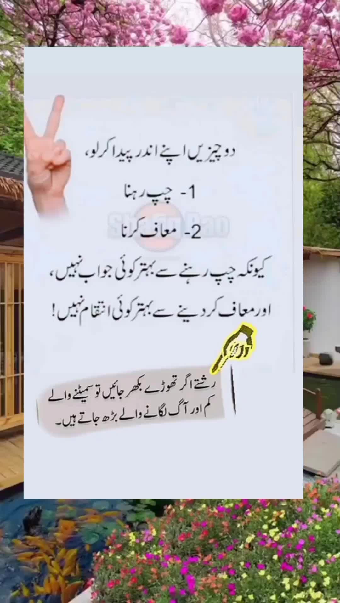 @sharaiz