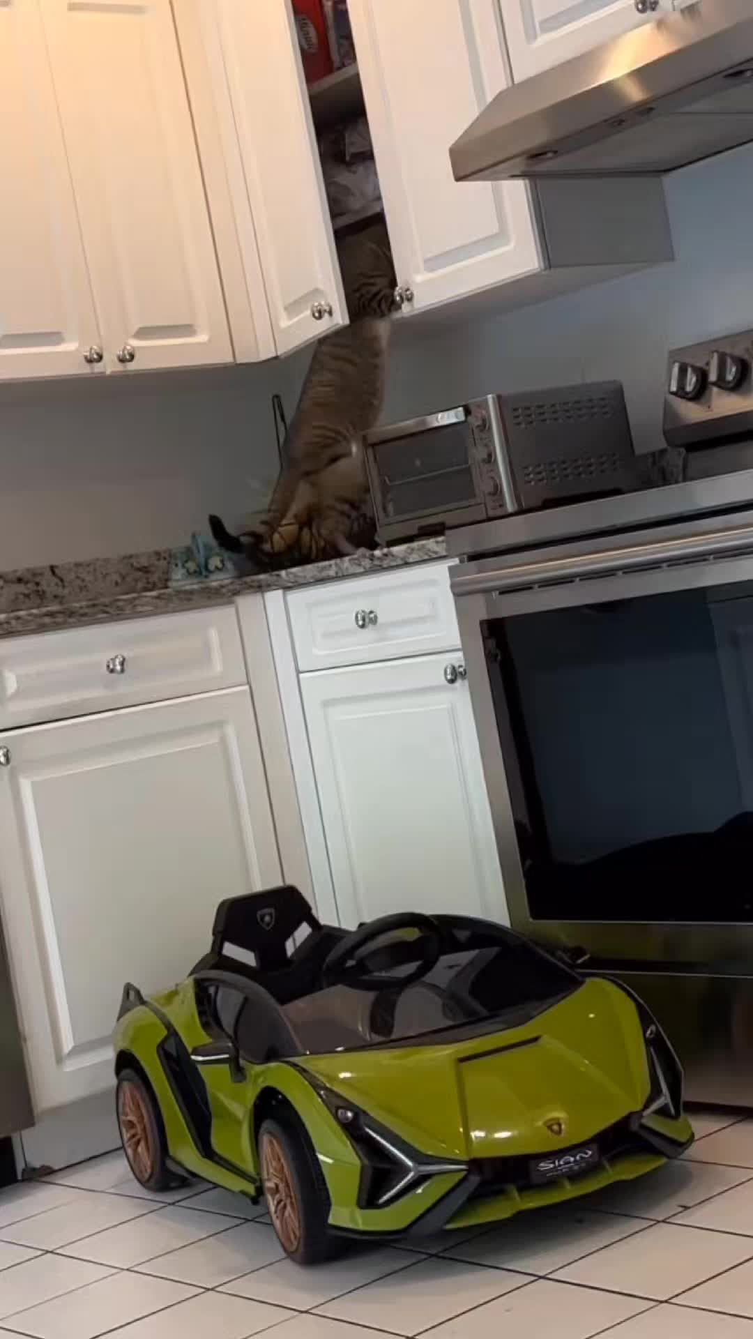 @catnipcrazee