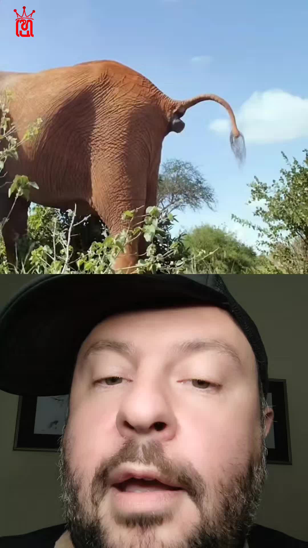 @hadjieleftheriadis