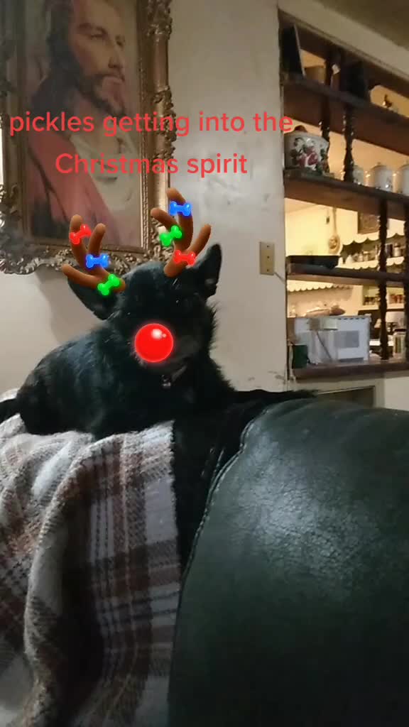 @brendagriffith742