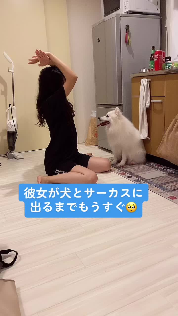 @ぽぽ家の日常