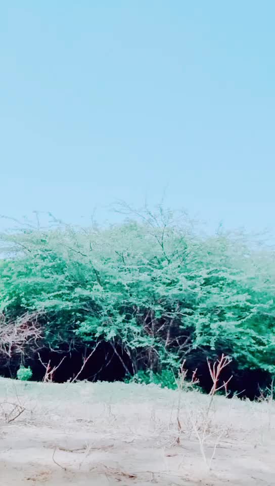 @user1054171576054