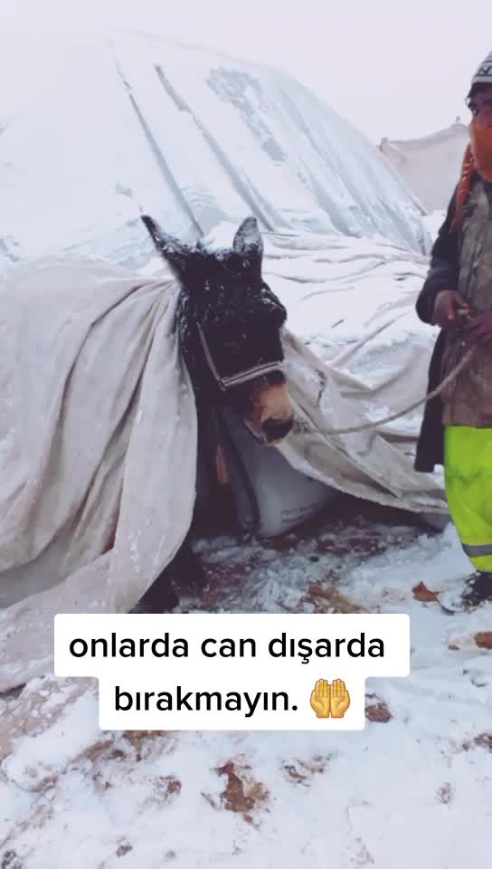 @yılmaz mustafa şen