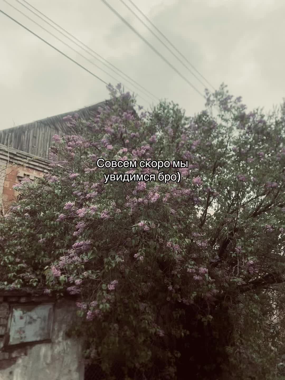 @aydi_q