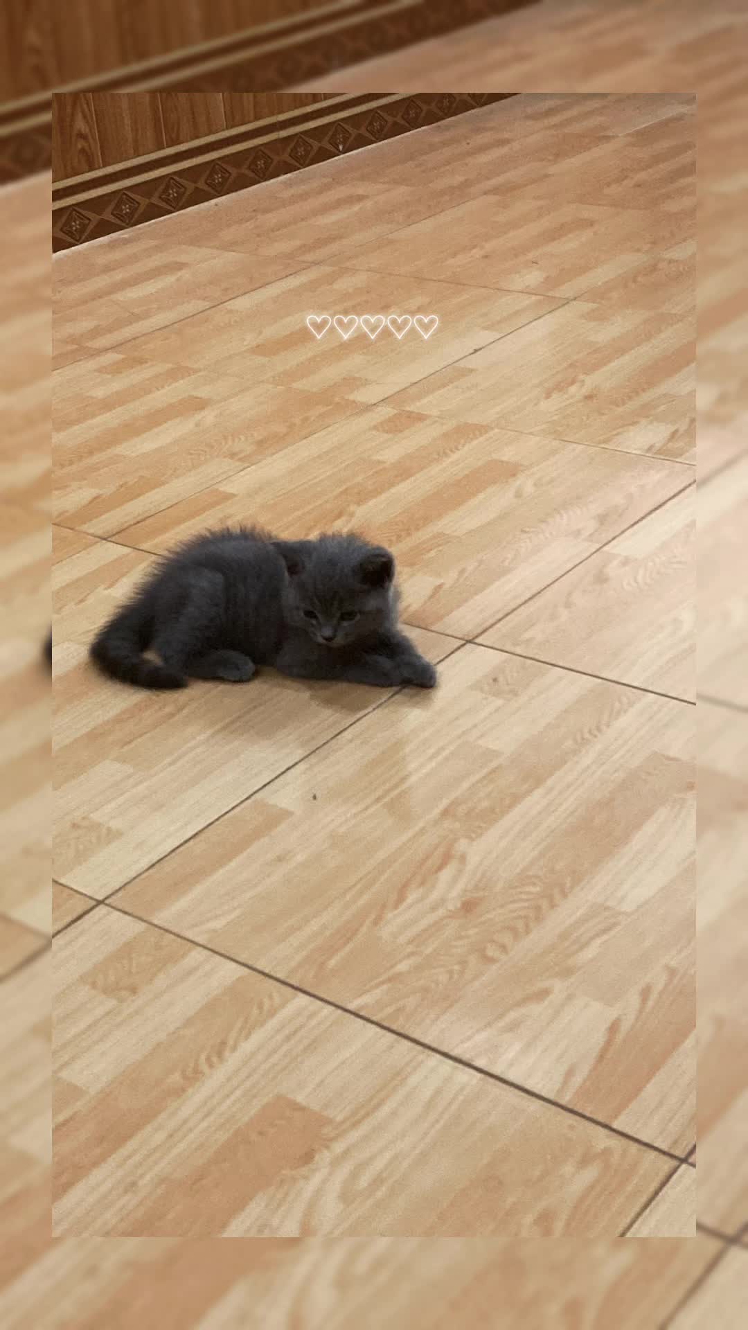 @Tuanminh202