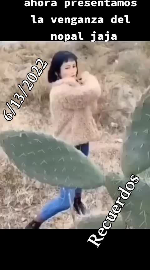 @ALONZO