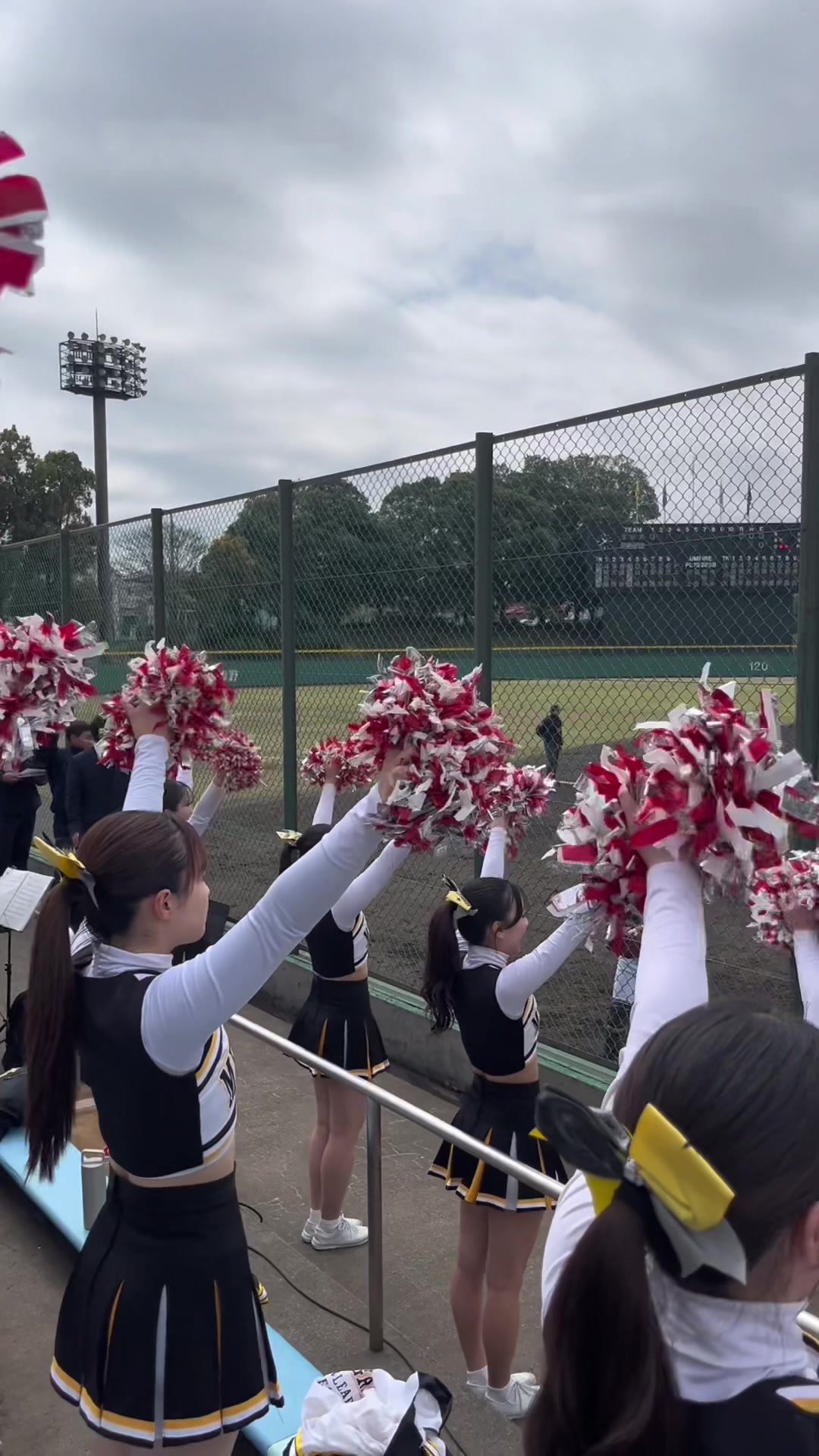 @明治学院大学チアリーディング部SCARLETS